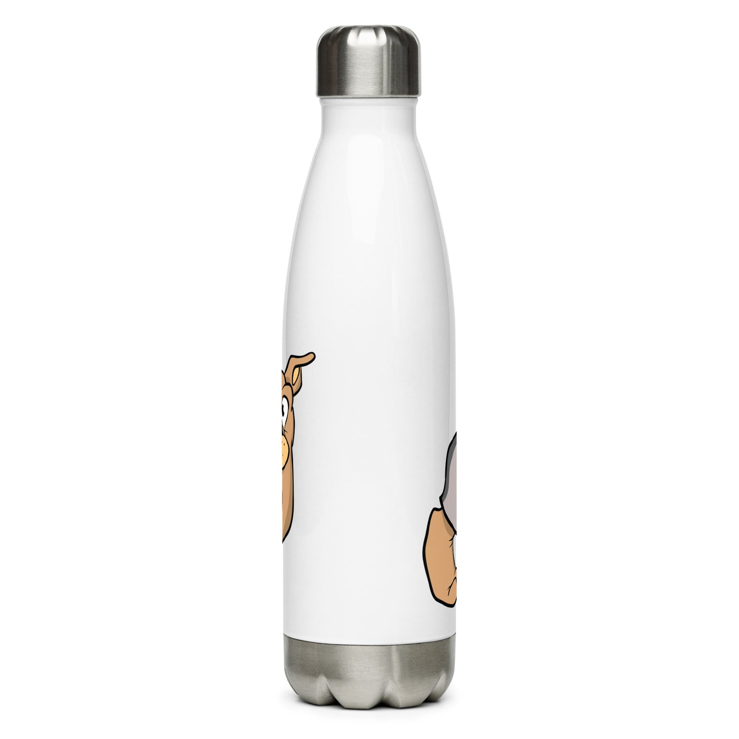 Stainless steel water bottle