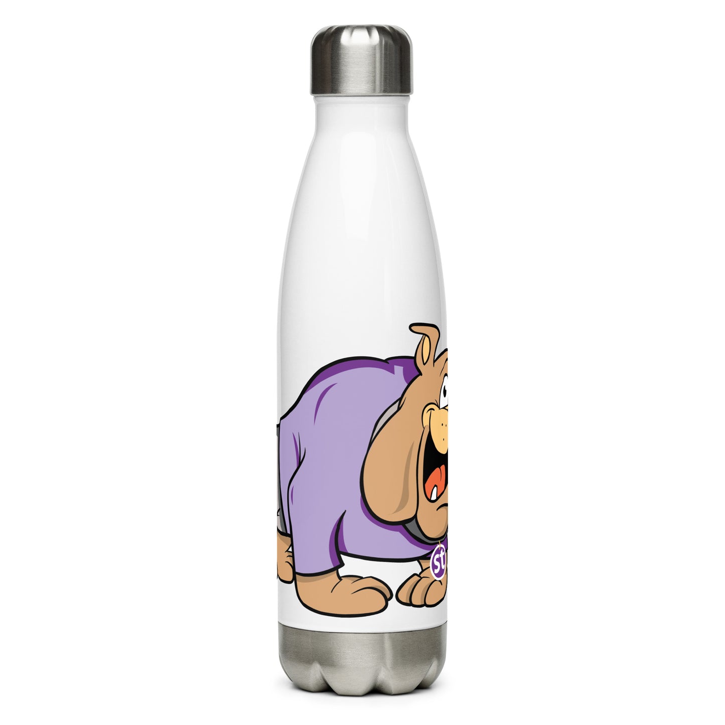 Stainless steel water bottle