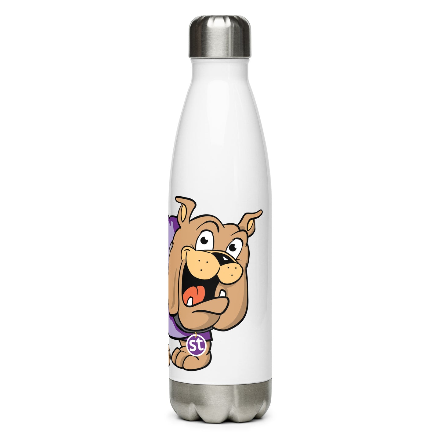 Stainless steel water bottle